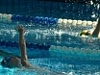 Заслуженные золотые медали и спортивные разряды первенства СДЮСШОР №1 по плаванию